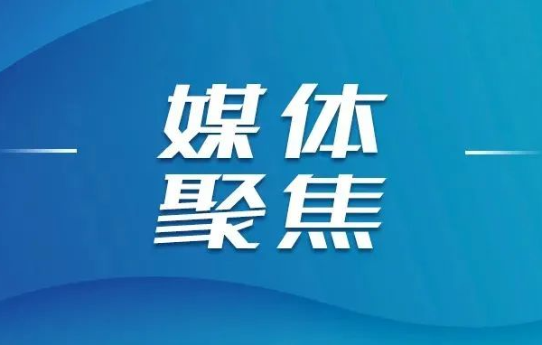 各大媒體關注山東重工集團上半年經營業績再創新高